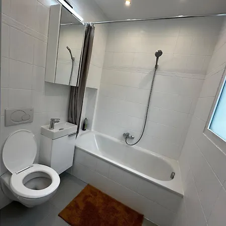 Stylish In Sankt Johann Near Novartis With Sauna * Bâle